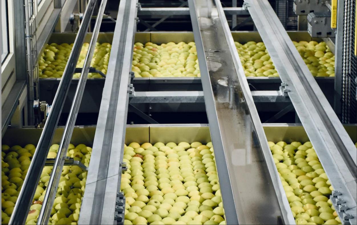 案例 食品包装 制氮系统成本优化 图片